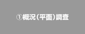 ①概況(平面)調査